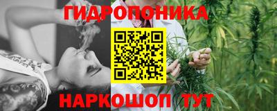 ГАЛЛЮЦИНОГЕННЫЕ ГРИБЫ Гусиноозёрск