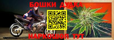 ГАЛЛЮЦИНОГЕННЫЕ ГРИБЫ Гусиноозёрск